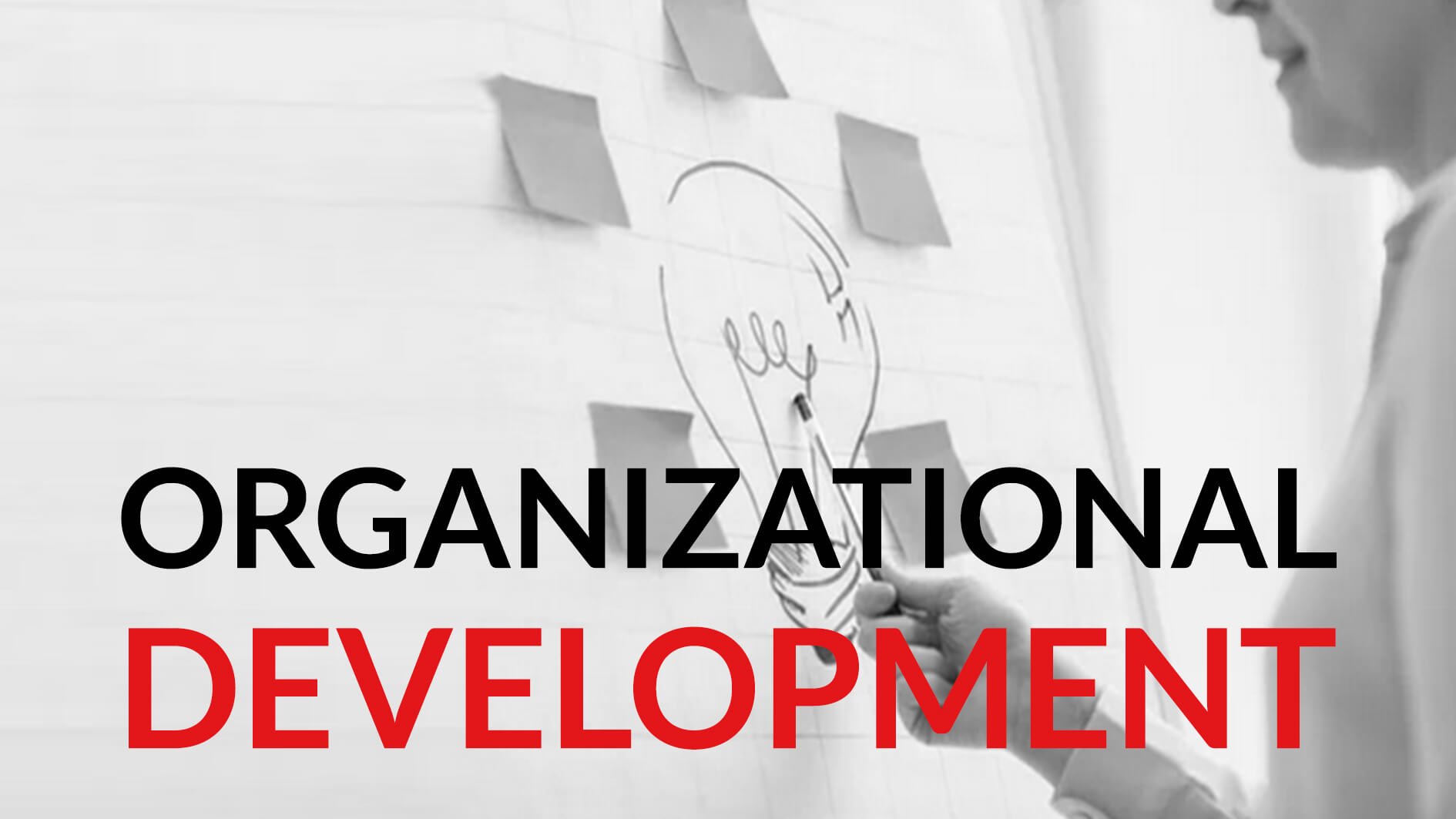 Organizational Development